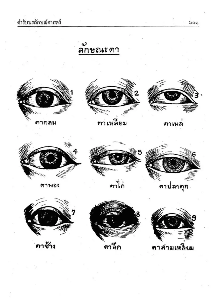 ภาพลักษณะตาจากตำรา