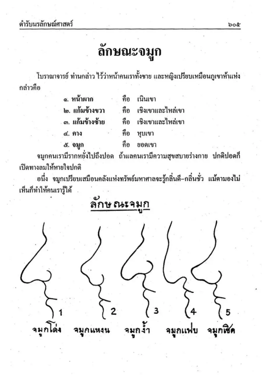 ภาพลักษณะจมูกจากตำรา