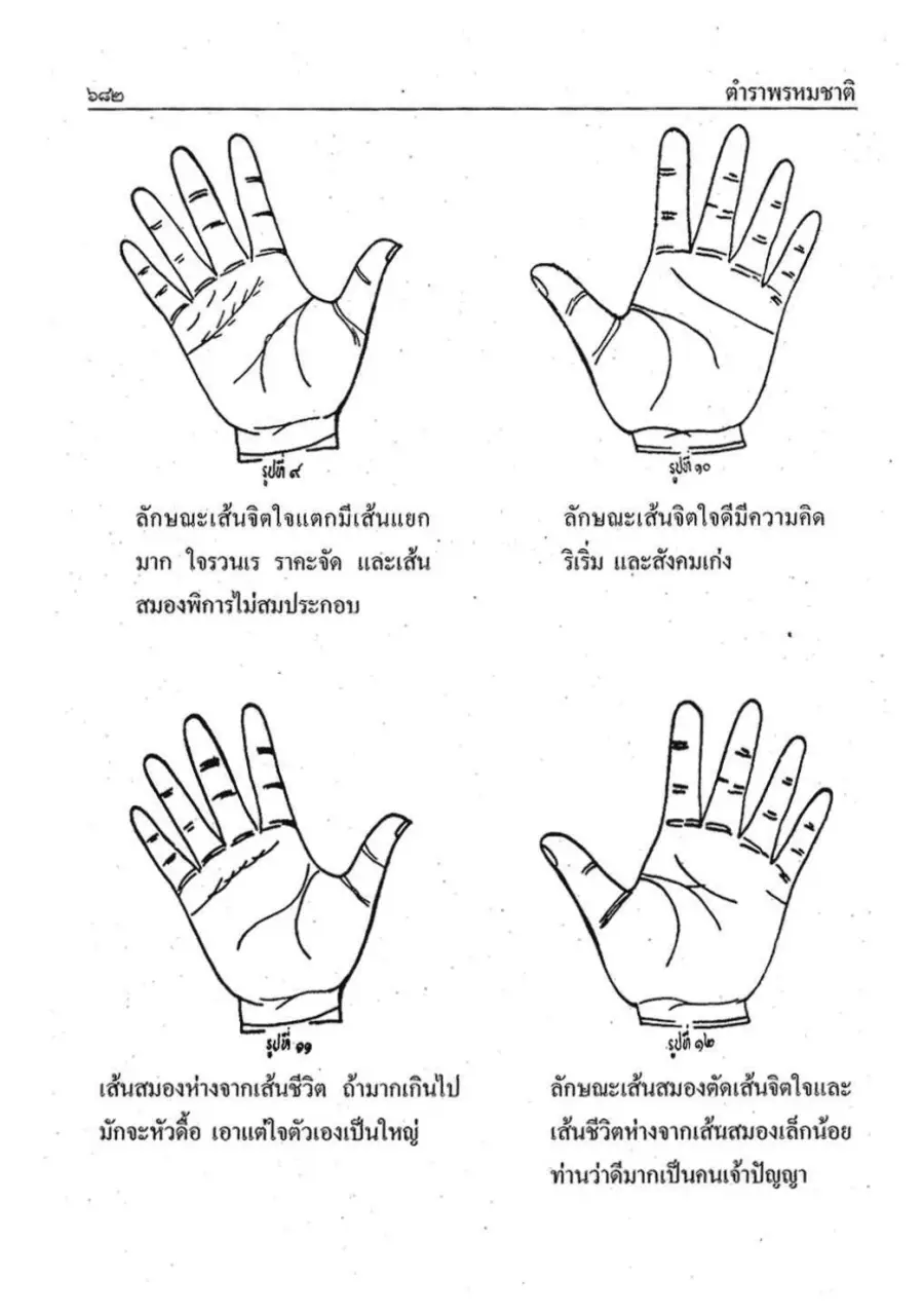 ภาพลักษณะเส้นสมองจากตำรา