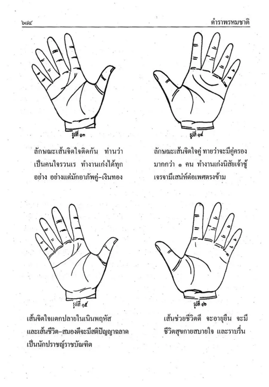ภาพลักษณะเส้นจิตใจจากตำรา
